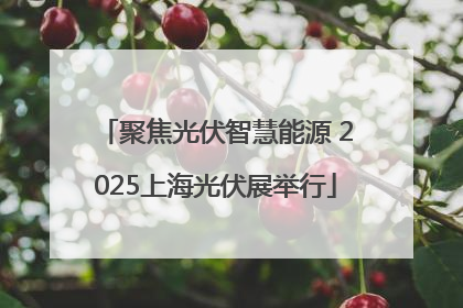 聚焦光伏智慧能源 2025上海光伏展举行