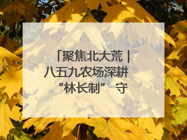 聚焦北大荒｜八五九农场深耕“林长制” 守护“生态绿”