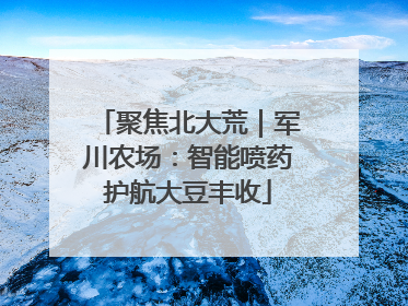聚焦北大荒｜军川农场：智能喷药护航大豆丰收