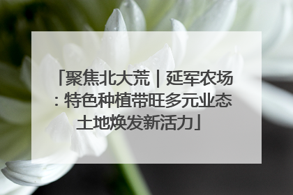 聚焦北大荒｜延军农场：特色种植带旺多元业态 土地焕发新活力