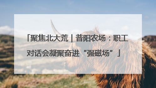 聚焦北大荒｜普阳农场：职工对话会凝聚奋进“强磁场”