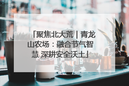 聚焦北大荒｜青龙山农场：融合节气智慧 深耕安全沃土