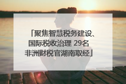 聚焦智慧税务建设、国际税收治理 29名非洲财税官湖南取经