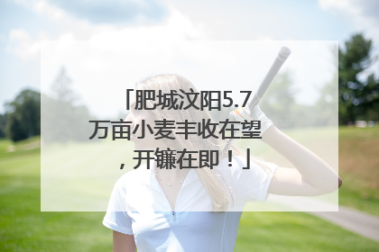肥城汶阳5.7万亩小麦丰收在望，开镰在即！