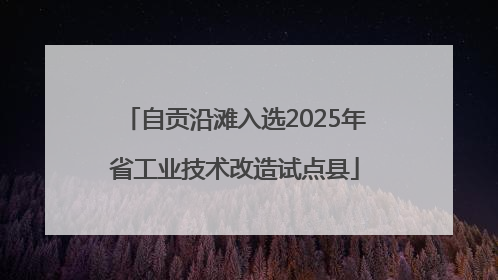 自贡沿滩入选2025年省工业技术改造试点县