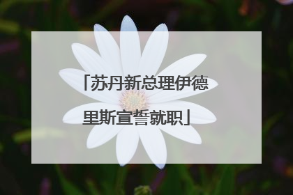 苏丹新总理伊德里斯宣誓就职