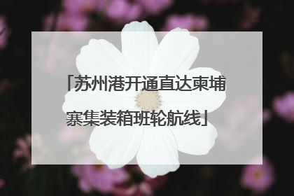 苏州港开通直达柬埔寨集装箱班轮航线