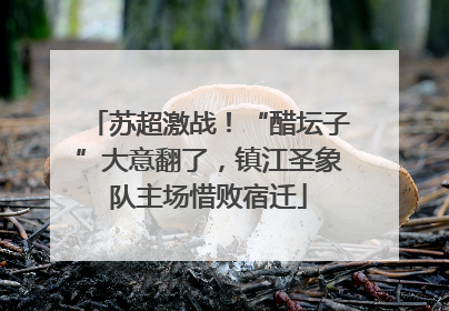 苏超激战！“醋坛子”大意翻了，镇江圣象队主场惜败宿迁
