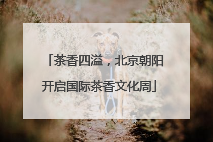 茶香四溢，北京朝阳开启国际茶香文化周