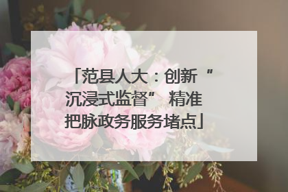 范县人大：创新“沉浸式监督” 精准把脉政务服务堵点