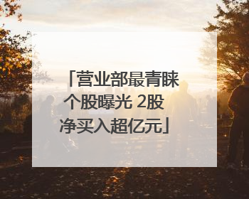营业部最青睐个股曝光 2股净买入超亿元