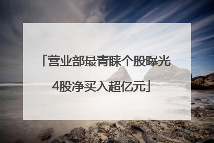 营业部最青睐个股曝光 4股净买入超亿元