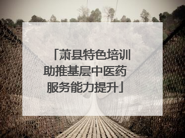萧县特色培训助推基层中医药服务能力提升
