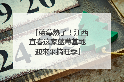 蓝莓熟了！江西宜春这家蓝莓基地迎来采摘旺季