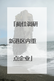 蔺佳调研新港区内重点企业