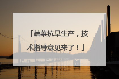 蔬菜抗旱生产，技术指导意见来了！