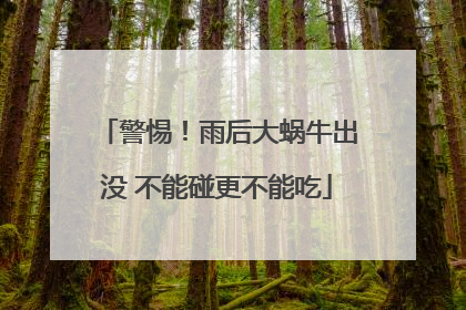 警惕！雨后大蜗牛出没 不能碰更不能吃