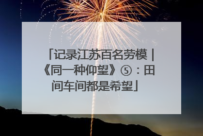 记录江苏百名劳模｜《同一种仰望》⑤：田间车间都是希望