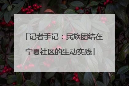 记者手记：民族团结在宁夏社区的生动实践