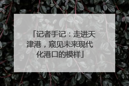 记者手记：走进天津港，窥见未来现代化港口的模样
