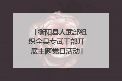 衡阳县人武部组织全县专武干部开展主题党日活动