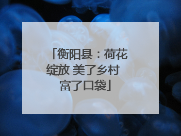 衡阳县：荷花绽放 美了乡村 富了口袋