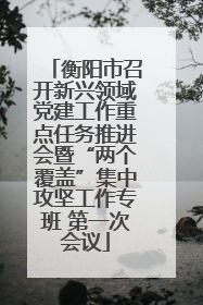 衡阳市召开新兴领域党建工作重点任务推进会暨“两个覆盖”集中攻坚工作专班 第一次会议