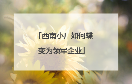 西南小厂如何蝶变为领军企业