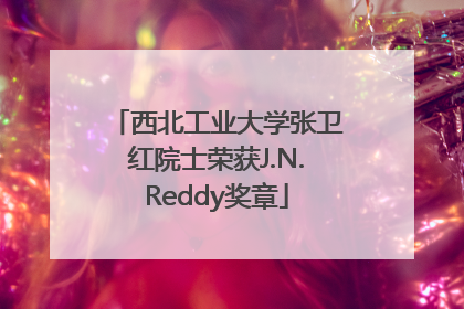 西北工业大学张卫红院士荣获J.N.Reddy奖章