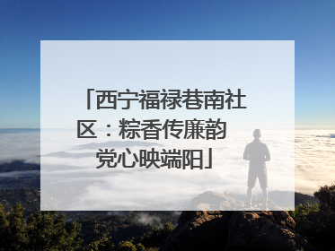 西宁福禄巷南社区：粽香传廉韵 党心映端阳