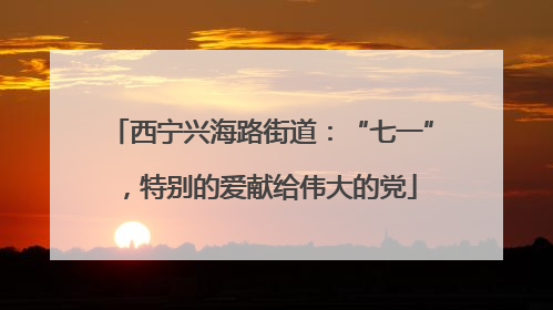 西宁兴海路街道：“七一”，特别的爱献给伟大的党