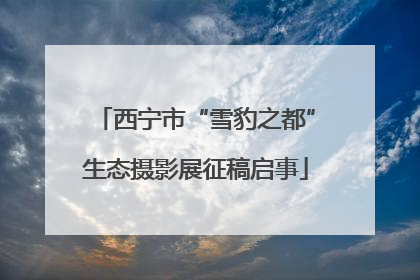西宁市“雪豹之都”生态摄影展征稿启事