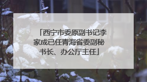 西宁市委原副书记李家成已任青海省委副秘书长、办公厅主任