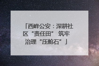 西峰公安：深耕社区“责任田” 筑牢治理“压舱石”
