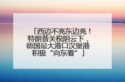 西边不亮东边亮！特朗普关税阴云下，德国最大港口汉堡港积极“向东看”