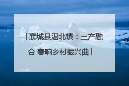 襄城县湛北镇：三产融合 奏响乡村振兴曲