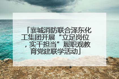 襄城消防联合泽东化工集团开展“立足岗位，实干担当”履职观教育党建联学活动