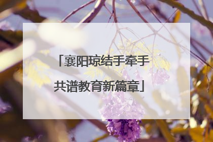 襄阳琼结手牵手 共谱教育新篇章