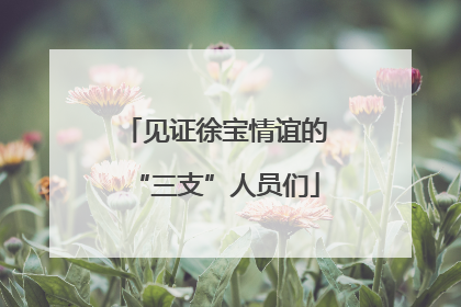 见证徐宝情谊的“三支”人员们
