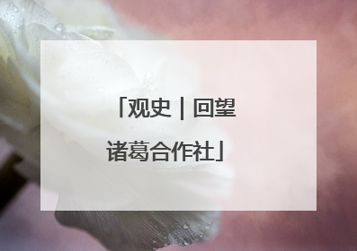 观史｜回望诸葛合作社