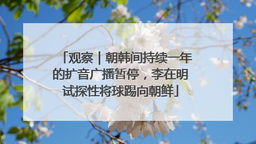观察｜朝韩间持续一年的扩音广播暂停，李在明试探性将球踢向朝鲜