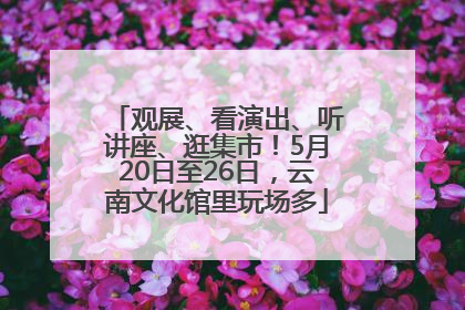 观展、看演出、听讲座、逛集市！5月20日至26日，云南文化馆里玩场多