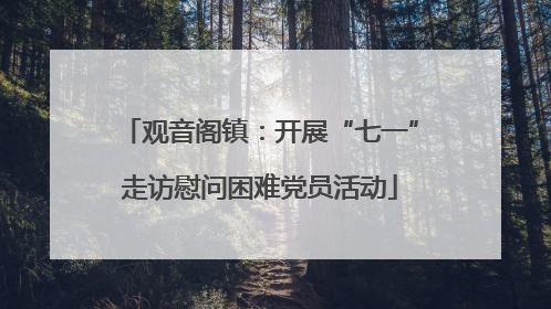 观音阁镇：开展“七一”走访慰问困难党员活动