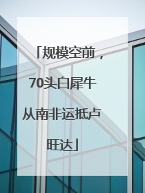 规模空前，70头白犀牛从南非运抵卢旺达