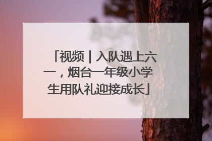 视频｜入队遇上六一，烟台一年级小学生用队礼迎接成长