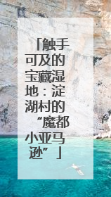 触手可及的宝藏湿地：淀湖村的“魔都小亚马逊”