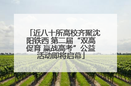 近八十所高校齐聚沈阳铁西 第二届“双高促育 赢战高考”公益活动即将启幕