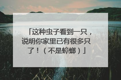 这种虫子看到一只，说明你家里已有很多只了！（不是蟑螂）