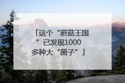 这个“蘑菇王国”已发现1000多种大“菌子”
