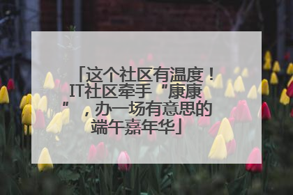这个社区有温度！IT社区牵手“康康”，办一场有意思的端午嘉年华